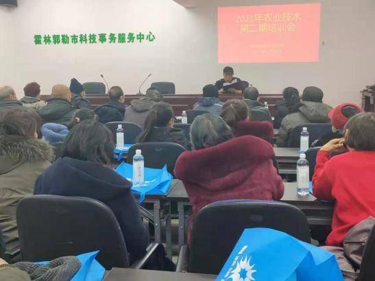 杨丰新闻聚焦时事热点，传递最新资讯动态
