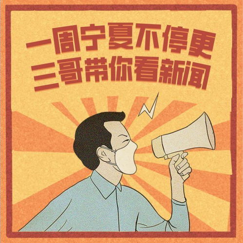 周宁最新疫情通报，最新动态与数据更新
