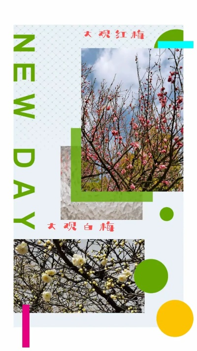 昆明最新拍照花絮，记录美丽瞬间，探寻城市魅力