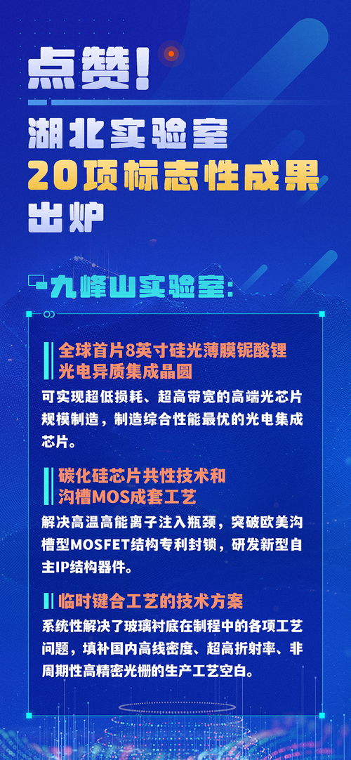 殷伟，网络世界的领航者——生平事迹、成就与影响力深度解析