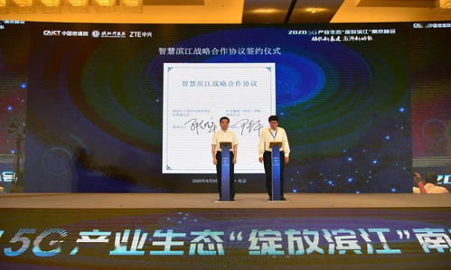 假发科技公司排名揭晓，行业领军者的成功秘诀大揭秘！