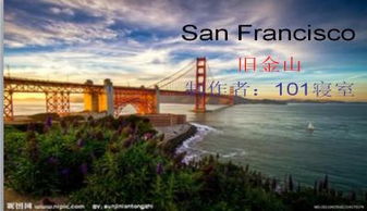世界桥梁排名解析，PPT精彩呈现，一览众桥风采！