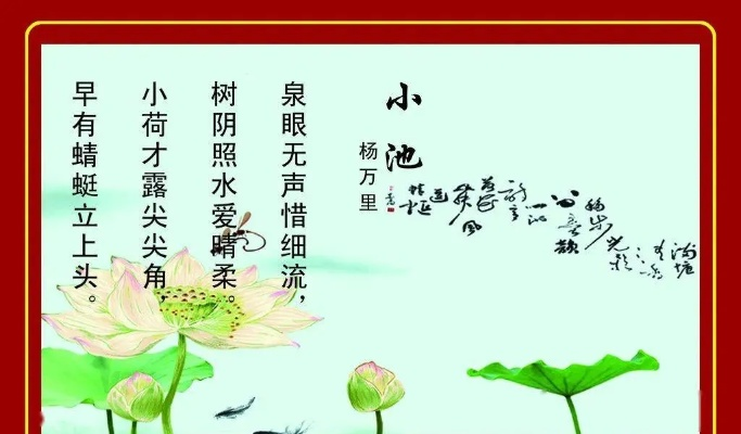 揭秘小池背后的故事与独特魅力，探寻之旅启动！