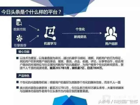 新闻分类秘籍揭秘，掌握头条重要性的实操指南！