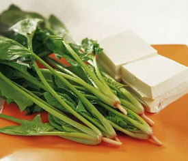 百度推荐，豆腐与菠菜的味蕾奇遇