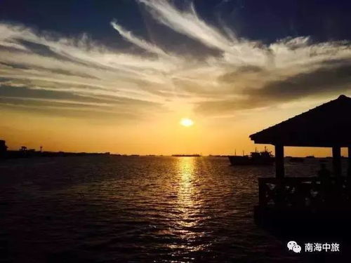 湛江晨曦秘境探索，开启新一天的绝美之旅