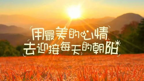 简短早安语录励志短句，唤醒清晨的力量，开启美好人生！