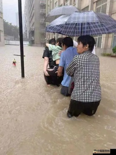 成都暴雨下的打工姐妹安危牵动人心，谁在密切关注她们的最新消息？