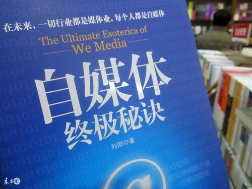 揭秘百度搜索背后的美国故事，启示与深度探索