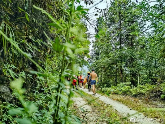 农村小鹏与百度的深山奇遇，探索之旅的奇妙邂逅