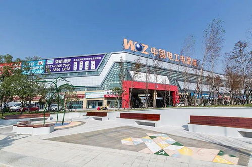 乐清最新热点新闻，城市动态与热点事件一网打尽今日播报