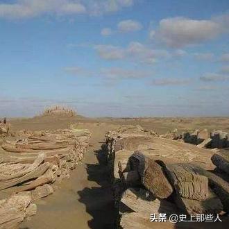 中亚干尸案件揭秘，探寻神秘事件背后的真相视频曝光
