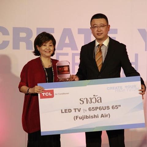 TCL公司行业地位与未来发展展望，深度解析其行业排名与前景展望