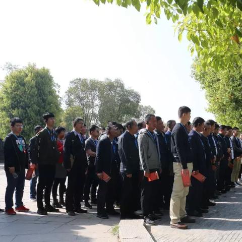 鹤壁到青岛旅游攻略，海滨风情之旅