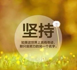 子萱情感励志语录，探索内心力量，领悟人生智慧之道