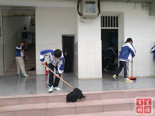 校园卫生大揭秘，最新曝光视频，共建清洁校园，关注学生健康新动态