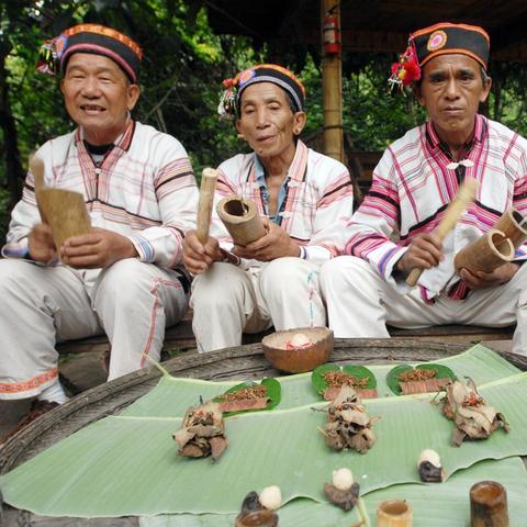 西双版纳探秘，全方位旅游攻略与费用详解