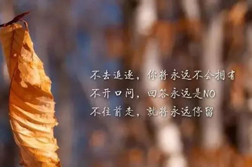 简短却充满力量的搞笑励志语录，激发无限正能量！