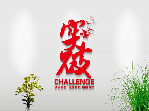 励志减肥与书法艺术的灵感碰撞