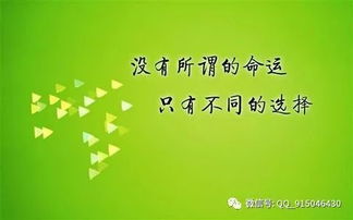 励志语录唤醒女性内心力量，激发无限潜能与自信