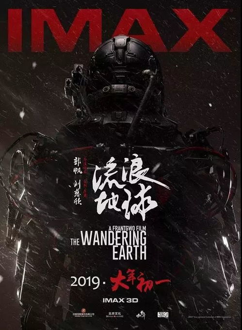 流浪逃犯自首案例深度解读，最新解析与启示
