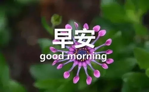 早安心情说说，百度同行，美好启程新一天