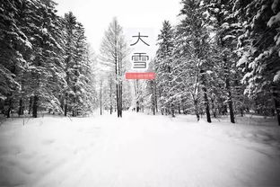 永川自驾赏雪攻略，最新雪景观赏指南