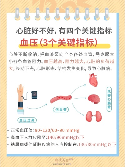 世界心脏健康排名揭秘，探寻长寿奥秘