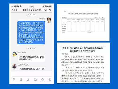 日照疫情最新动态，共同关注，携手共克时艰