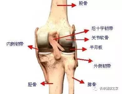 膝盖疼痛揭秘，成因解析与有效缓解方法，全方位守护你的关节健康