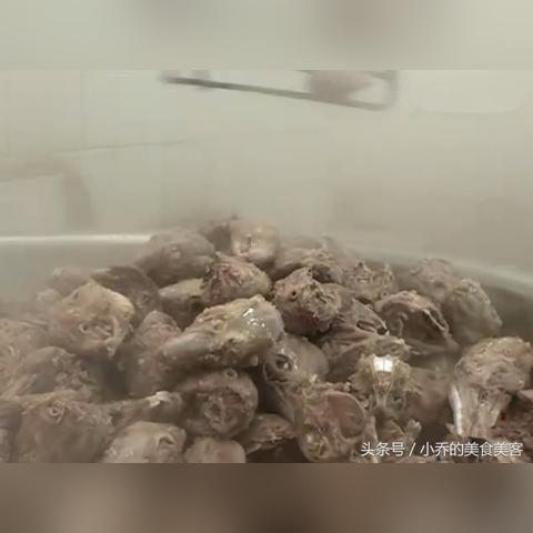 蒙阴兔肉价格走势解析，最新市场动态与价值探寻