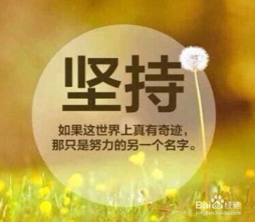 虎杖励志名言集锦，简短吸睛，百度收录标准