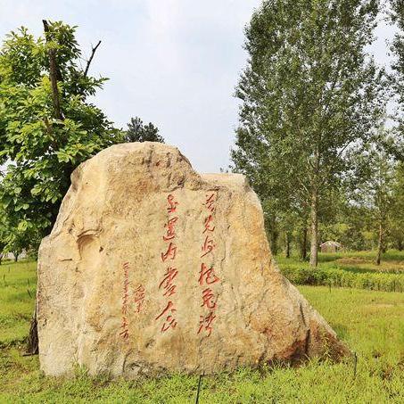 旅游祖先任务攻略，追寻足迹，深度体验历史之旅
