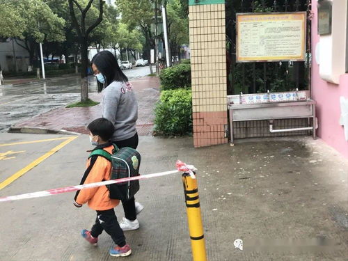 郯城疫情最新动态，全面应对防控，共筑安全堡垒