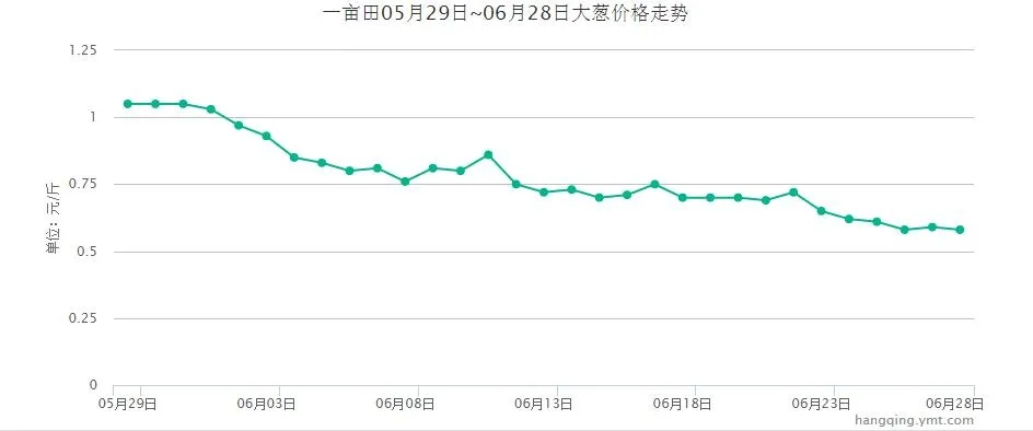 今日大葱市场最新价格揭秘，市场走势及影响因素分析概览
