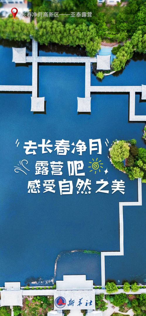 百度收录，探索素心兰的自然之美之旅
