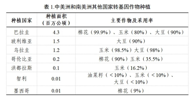 全球向日葵产量排名揭秘，向日葵产业蓬勃发展！