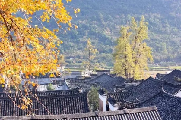 临溪古镇探秘，自然与历史的完美交融攻略
