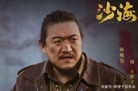 沙海公司行业地位深度解析，排名背后的实力揭秘