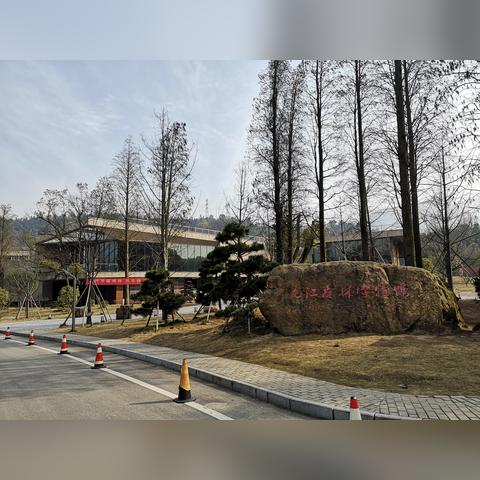 今日全国时事热点解读，聚焦头条新闻，最新动态一网打尽