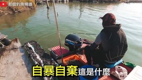石集钓鱼救人案件最新进展揭秘，正义与勇气的胜利时刻来临！