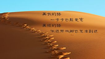 励志语录与创业感悟，前行路上的力量源泉，激发无限潜能！