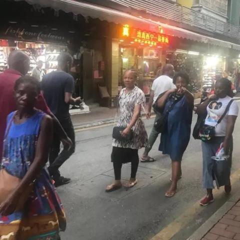 南园桥下最新动态，今日揭秘！
