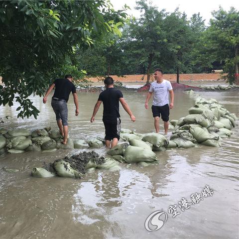 宜宾江安水位最新消息，状况解析及影响因素探讨