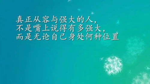 励志语录图收藏宝典，激励人心的力量图文珍藏指南