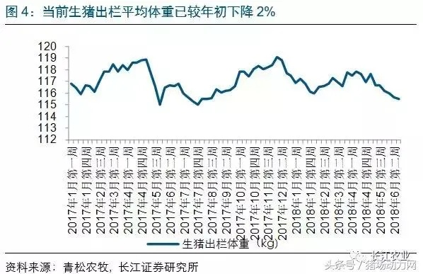 彭县最新猪价行情分析，市场动态与未来趋势预测