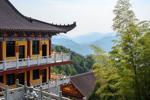 南京灵谷寺探秘指南，古寺风情别样领略