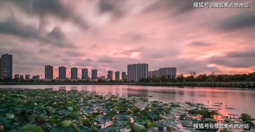 白象游玩攻略，图文全解析，带你畅游无忧！