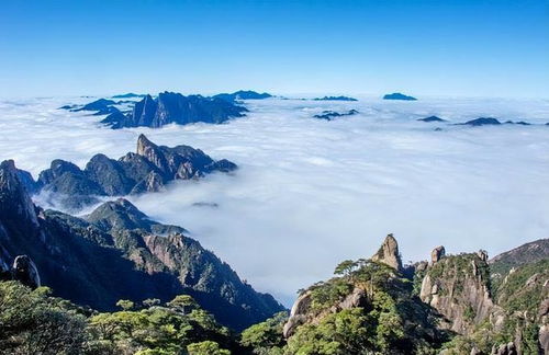 庐山旅游攻略大揭秘，探索神秘山水的最佳路线