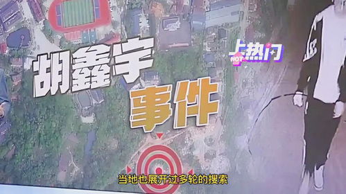 胡鑫宇最新动态更新，今日揭秘最新消息